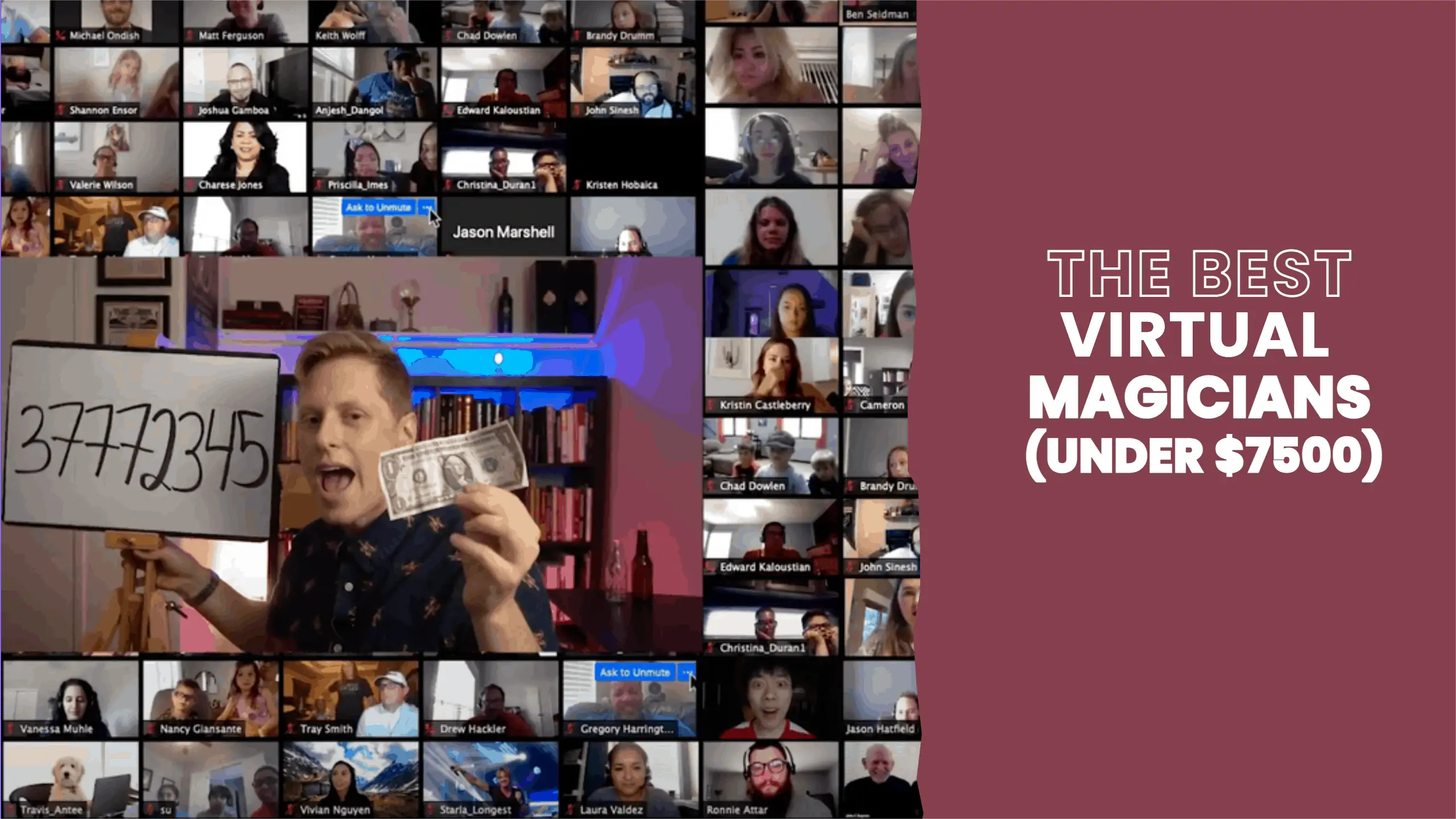 Book the Best Interactive Virtual Magic Show (under $7500)